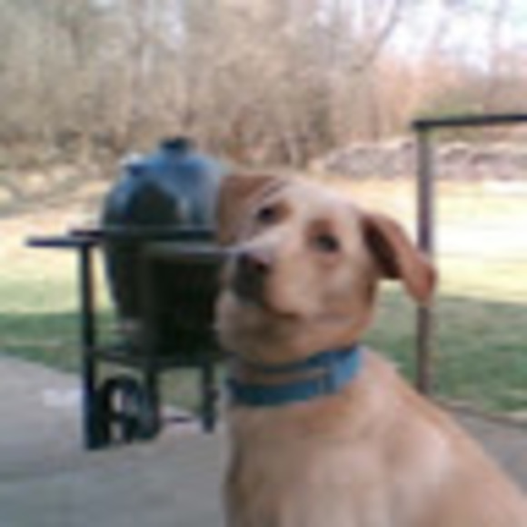 Meet your Posher, Ada - Picture 1 of 1